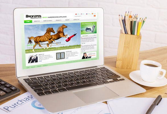 寧波博發(fā)美發(fā)用品用具有限公司